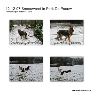 Sneeuwpret in Park de Paauw